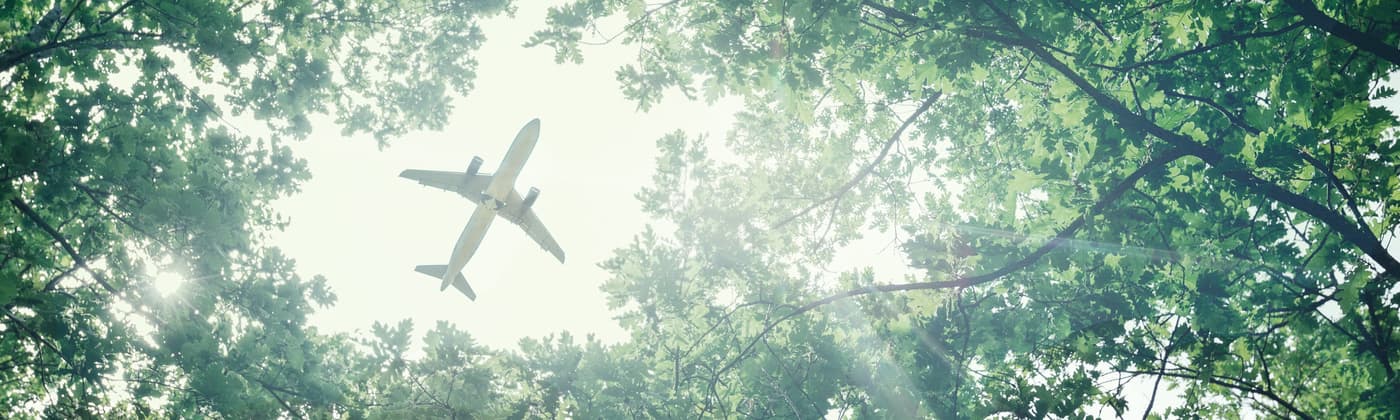 Commercial aircraft flying overhead between clearing in trees as example customer of Element aerospace testing services